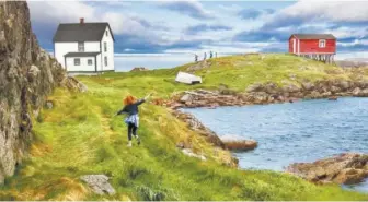  ??  ?? Above and below: Plan the trip of a lifetime without breaking the bank with Mile Zero Tours, which is offering a tour of Newfoundla­nd and Labrador on Support and Buy Local Auction; BFJ Design is offering a $25,000 gift card.