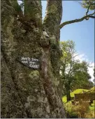  ??  ?? A sign points weary walkers to cake and tea on Kerrera slice of life: