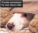  ??  ?? Provide somewhere for your dog to hide