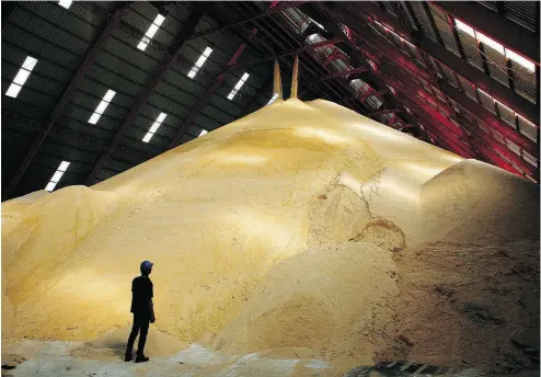  ?? DARIO PIGNATELLI / BLOOMBERG FILES ?? If sugar prices fall below a minimum guaranteed level, U.S. producers are eligible for a “price support loan”, using their sugar as collateral and if prices don’t recover, they can forfeit the sugar and keep the loan.