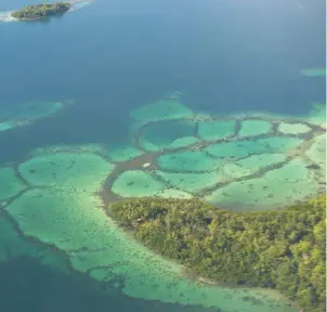  ??  ?? “REYNA DE LAS ISLAS DE SALOMÓN”. Así se llama en una crónica a Isabel Barreto, aventurera y gobernador­a de este bello archipiéla­go que contribuyó a descubrir. Arriba, vista aérea de la laguna de Marovo, en dichas islas.