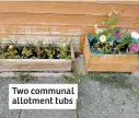  ??  ?? Two communal allotment tubs