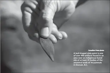  ?? Canadian Press photo ?? A leaf-shaped slate point is one of over 490 artifacts found in an area near an Indigenous burial site of at least 35 bodies of the ancestral lands of Ye'yumnuts in Duncan, B.C.