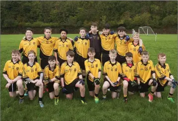  ??  ?? The Ashford under-15 footballer­s who defeated St Hugh’s in Avoca last Sunday morning.