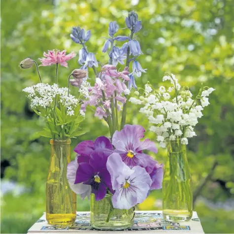  ?? PHOTOS BY THERESA FORTE/SPECIAL TO POSTMEDIA NEWS ?? May garden sampler: From left, sweet woodruff, columbine, Spanish bluebells, lily of the valley and pansies.