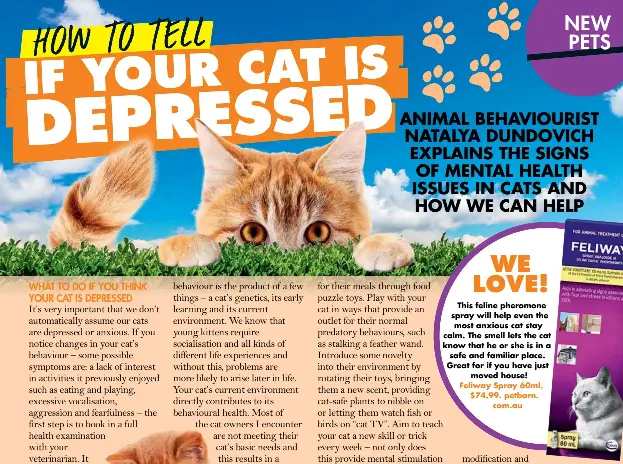 Feliway petbarn cheap