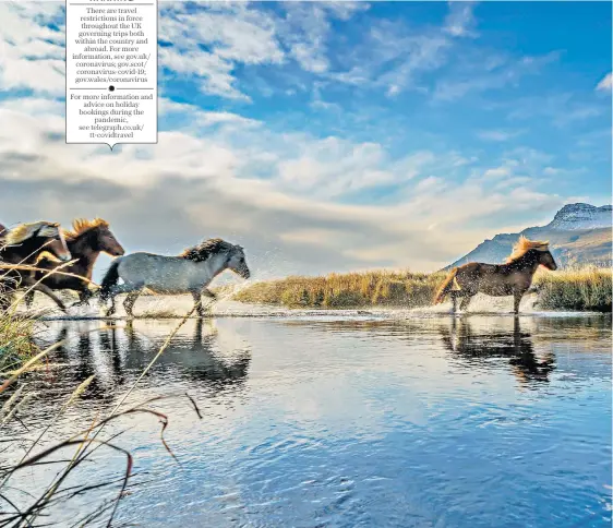  ??  ?? On the hoof: horses race through an otherwordl­y landscape shaped by glaciers and volcanoes
Flatey Island has only one shop but ‘bursts into life’ as locals open up their colourful summer homes