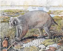 ?? HANDOUT VIA REUTERS ?? The prehistori­c marsupial Mukupirna nambensis, a plant-eating mammal about the size of a black bear that lived roughly 25 million years ago in Australia and was related to a modern wombat, is seen in an artist's impression.