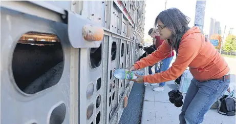  ??  ?? Anita Krajnc gives water to pigs being trucked to a Canadian slaughterh­ouse.