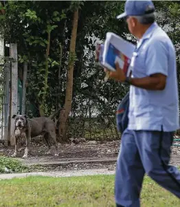  ??  ?? During his 34 years as a mailman, Valadez has gotten to know the people he delivers mail to, and part of that is getting to know their dogs.