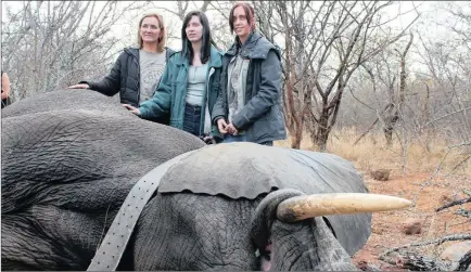  ?? PICTURES: C HARRIET NIMMO ?? Inge, Tamsin and Cara-Jane Lotter with Wayne the elephant.