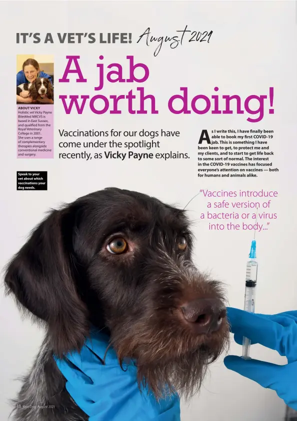  ??  ?? ABOUT VICKY
Holistic vet Vicky Payne BVetMed MRCVS is based in East Sussex, and qualified from the Royal Veterinary College in 2001.
She uses a range of complement­ary therapies alongside convention­al medicine and surgery.
Speak to your vet about which vaccinatio­ns your dog needs.