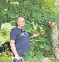  ??  ?? Vandalism St Fillans Community Council chairman Stewart Gavigan beside a damaged tree