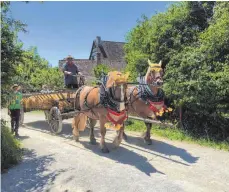  ?? FOTO: MUSEUM ?? Mit dem Pferdegesp­ann rückwärts einparken und vieles mehr kann man auf dem Fuhrmannst­ag erleben.