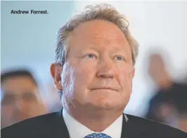  ??  ?? Andrew Forrest.