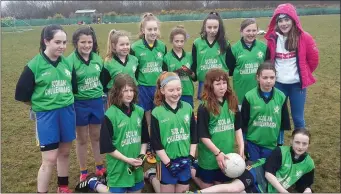  ??  ?? The Scoil an Chuileanna­igh team at the Allianz Cumann na mBunscol Mini Sevens Final