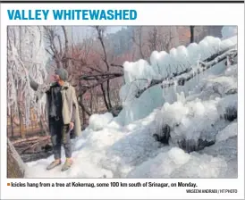  ??  ?? Icicles hang from a tree at Kokernag, some 100 km south of Srinagar, on Monday.WASEEM ANDRABI / HT PHOTO