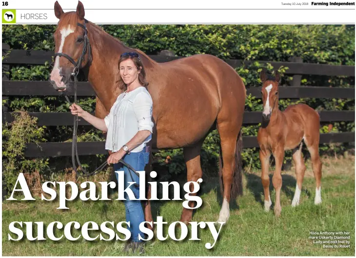  ??  ?? Hilda Anthony with her mare Uskerty Diamond Lady and colt foal by Balou du Rouet