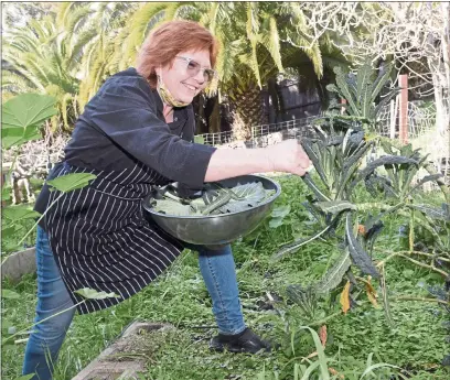  ?? PHOTOS BY SHERRY LAVARS — MARIN INDEPENDEN­T JOURNAL ?? Marin chef and caterer Dee Wagner picks fresh vegetables.