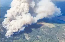  ?? B.C. WILDFIRE SERVICE ?? B.C. should be burning tens of thousands of hectares annually to reduce dense forests packed with fallen branches and leaves, fire ecologist
Bob Gray says.