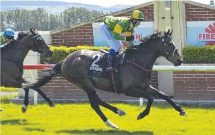  ?? PHOTO: JONNY TURNER ?? Gallant effort . . Gallant Boy was one of multiple winners for trainers Brian and Shane Anderton and jockey Corey Campbell at Wingatui yesterday.