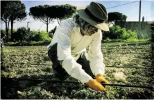  ?? BILD: SN/MDM/EDGAR HONETSCHLÄ­GER ?? Edgar Honetschlä­ger verbrachte viel Zeit in seinem Garten in Italien.