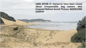  ?? Picture: MADELEINE CHAPUT ?? LOOK AFTER IT: Concerns have been raised about irresponsi­ble dog owners who frequent Nahoon beach