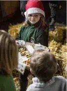  ??  ?? CLOCKWISE FROM
RIGHT Star-topped mince pies, fresh from the oven, are essential to warm up chilly carollers; the setting, especially with the animals, is a huge draw for children