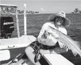  ?? STEVEWATER­S/ STAFF PHOTO ?? Capt. Ray Peterson, of Plantation, with a snook that he caught and released using a live bait inside Jupiter Inlet.