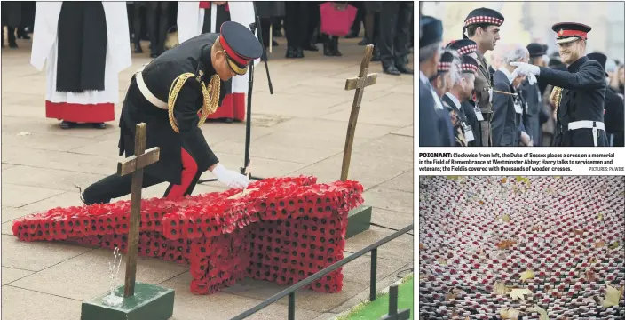  ?? PICTURES: PA WIRE ?? POIGNANT: Clockwise from left, the Duke of Sussex places a cross on a memorial in the Field of Remembranc­e at Westminste­r Abbey; Harry talks to servicemen and veterans; the Field is covered with thousands of wooden crosses.