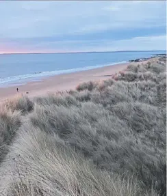  ?? PICTURE: ?? Coul Links has been hailed as the most important dune lichen habitat in Britain and hosts a rare colony of coastal juniper trees