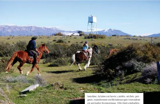  ??  ?? WESTERN POLAIRE
Au pied de la cordillère des Andes, sur un million de kilomètres carrés, la Patagonie est l’une des régions les moins peuplées au monde.