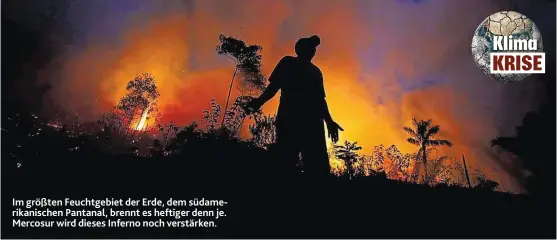  ??  ?? Im größten Feuchtgebi­et der Erde, dem südamerika­nischen Pantanal, brennt es heftiger denn je. Mercosur wird dieses Inferno noch verstärken.