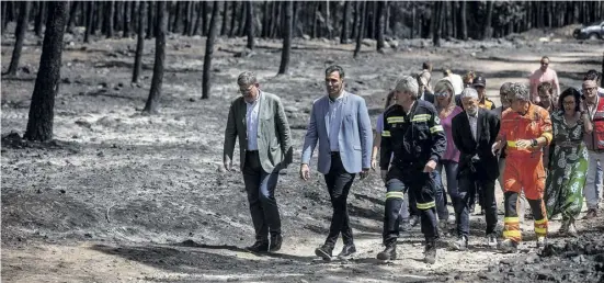  ?? Foto: dpa ?? Es brennt im Wald und an den politische­n Fronten. So hätte sich Pedro Sánchez das Ende der Sommerpaus­e nicht vorgestell­t.