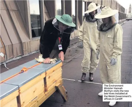  ??  ?? The Environmen­t Minister Hannah Blythyn visits the new bee hives installed at the Welsh Government’s offices in Cardiff
