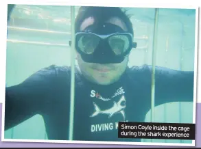  ??  ?? Simon Coyle inside the cage during the shark experience