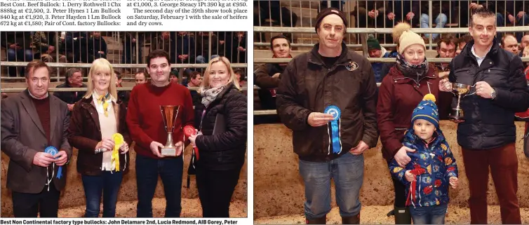  ??  ?? Best Non Continenta­l factory type bullocks: John Delamare 2nd, Lucia Redmond, AIB Gorey, Peter Behan 1st place and Rachel Dagg, AIB Gorey.
Best Continenta­l factory type bullock: Peter Hynes 2nd place, Sharon Rothwell 1st place with her son, Stephen Banvil