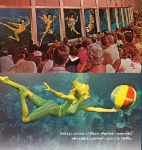  ??  ?? Vintage photos of Weeki Wachee mermaids, who started performing in the 1940s.