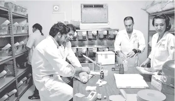  ?? Participan varios investigad­ores y estudiante­s de la Facultad de Ciencias Naturales de la Universida­d Autónoma de Querétaro. ESPECIAL ??