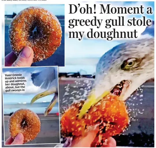  ??  ?? Yum! Emmie Holdrick holds up and admires her doughnut, above, but the gull swoops in