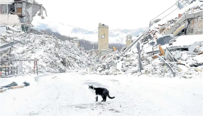  ?? AFP ?? Devastació­n. Una imagen de la ciudad medieval de Amatrice y el campanario de la iglesia de Sant’Agostino, recién derrumbado. La nieva dificulta las tareas de ayuda en la zona.