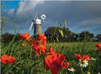  ??  ?? Watermill at Wadenhoe basks in the golden glow of sunrise
North Norfolk is known as Poppyland, famous for poppies and windmills. Here’s a photo of both