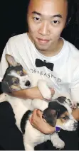  ??  ?? Soon to earn a UBC degree in applied animal biology, Jeffrey Kwok wrangled collie-husky-beagle pups at the SPCA’s Offleashed gala.