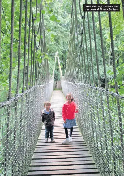  ??  ?? Owen and Cerys Caffrey in the tree house at Alnwick Gardens