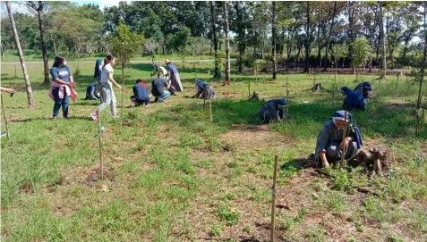  ?? TREE PLANTING. (Contribute­d photo) ?? Nuns and youths from the Franciscan Immaculate Sister plant Bignay Plant seedlings at the Capas National Shrine in Tarlac province.