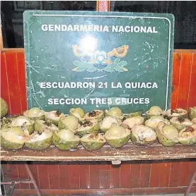  ??  ?? Operativo. Los 17 cocos estaban rellenos con 14 kilos de cocaína.