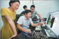  ?? HU WEIGUO / CHINA DAILY ?? Staff of a rural fruit company in Mengcheng county in Anhui province discuss potential new orders with a prospectiv­e online buyer.