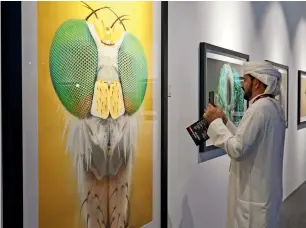  ?? Photo by M. Sajjad ?? A visitor looking at the photo gallery of Yousif Al Habashi at Xposure Internatio­nal Photograph­y Exhibition 2018 at the Sharjah Expo Centre. —