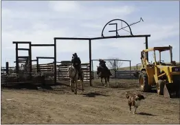  ?? PHOTOS BY GILLIAN FLACCUS — ASSOCIATED PRESS ?? Cattle rancher Mike Filbin, front, and his friend Joe Whitesell prepare to herd cattle at Filbin’s ranch in Dufur, Oregon.