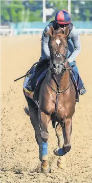  ?? DENNIS SCHNEIDLER, USA TODAY SPORTS ?? Irish War Cry, a 7- 2 favorite, trains Thursday at Belmont Park in preparatio­n for the 149th Belmont Stakes scheduled for Saturday.